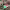 https://res.cloudinary.com/billionhands/image/upload/v1767050000/items/pzqlsjlqlb5t2znjcc8b.avif-2cover