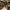https://res.cloudinary.com/billionhands/image/upload/v1767050023/items/tjqoxi2bpwlpw87duyuf.jpg-2cover