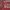 https://res.cloudinary.com/billionhands/image/upload/v1767053393/items/mfv2il8sqtjn7niatfcl.jpg-0cover