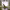 https://res.cloudinary.com/billionhands/image/upload/v1767054652/items/sccn7xtxyolxf1yzl1o1.jpg-3cover