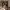 https://res.cloudinary.com/billionhands/image/upload/v1767055110/items/kxqwa5k5kfy23o8rynli.webp-2cover
