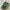 https://res.cloudinary.com/billionhands/image/upload/v1767055462/items/x37a4oozkpphbqas0u83.jpg-2cover
