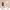 https://res.cloudinary.com/billionhands/image/upload/v1767055627/items/kzbiwj9plh2sooq2qtnz.png-0cover
