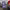 https://res.cloudinary.com/billionhands/image/upload/v1767056562/items/dddfy3nphube6nypgaeg.jpg-0cover