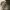 https://res.cloudinary.com/billionhands/image/upload/v1767056977/items/adef25rslnbvijuw7rfp.jpg-2cover