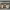 https://res.cloudinary.com/billionhands/image/upload/v1767057419/items/xxozt5pcffhaxio7a7ai.jpg-1cover