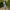 https://res.cloudinary.com/billionhands/image/upload/v1767058446/items/jvx5ahnnvkzquchlei49.webp-1cover