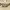 https://res.cloudinary.com/billionhands/image/upload/v1767060098/items/imssjntgxns8vjxd3ltr.webp-0cover