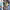 https://res.cloudinary.com/billionhands/image/upload/v1767063199/items/tgcbbkb0hpru2bnclufo.jpg-2cover