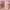 https://res.cloudinary.com/billionhands/image/upload/v1767063681/items/wgztyakrb9nfhxa66i9n.png-2cover