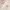 https://res.cloudinary.com/billionhands/image/upload/v1767063934/items/isghhv2t6m6i7bfsilfh.webp-0cover