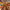 https://res.cloudinary.com/billionhands/image/upload/v1767064715/items/xbkhtbot3rf0sdyl0uge.webp-2cover
