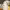https://res.cloudinary.com/billionhands/image/upload/v1767065575/items/nqm3kr7p1owuf0xjokee.webp-3cover