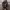 https://res.cloudinary.com/billionhands/image/upload/v1767065783/items/codha9ftaw5wewmjcqts.jpg-0cover