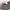 https://res.cloudinary.com/billionhands/image/upload/v1767068257/items/tuddwvrlr82ls9m8rmyn.jpg-2cover