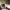 https://res.cloudinary.com/billionhands/image/upload/v1767068274/items/x03n2q3zlunze3t4ckue.jpg-2cover