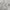 https://res.cloudinary.com/billionhands/image/upload/v1767070324/items/onxjay2bgq7qnbisjeza.webp-1cover