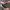https://res.cloudinary.com/billionhands/image/upload/v1767070341/items/vdevf7t721rzesxeguvm.webp-2cover