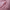 https://res.cloudinary.com/billionhands/image/upload/v1767070343/items/ljldnwdwmnrb2p7pyizw.jpg-3cover