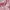 https://res.cloudinary.com/billionhands/image/upload/v1767070354/items/ydawow9wxjdmesjxjd15.webp-1cover