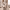 Vestido cruzado (wrap dress) de lunares marrones y beige cover