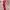 https://res.cloudinary.com/billionhands/image/upload/v1767070949/items/izvlzmxfdtnsmj1pbqfy.jpg-2cover