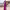 https://res.cloudinary.com/billionhands/image/upload/v1767070952/items/mim4yc7rfqtvpofvsyuh.jpg-0cover