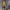 https://res.cloudinary.com/billionhands/image/upload/v1767071410/items/l0dxpbmogmdcwyl9o16b.jpg-3cover