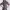 https://res.cloudinary.com/billionhands/image/upload/v1767071468/items/yjvqwatcpgztj1lz3078.webp-3cover