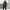 https://res.cloudinary.com/billionhands/image/upload/v1767071957/items/gmpfmilvznkxqayvm1vy.jpg-2cover
