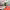 https://res.cloudinary.com/billionhands/image/upload/v1767072015/items/qwz9qxobdqookhbpcola.jpg-1cover