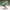 https://res.cloudinary.com/billionhands/image/upload/v1767072580/items/seupge89e4oy5lcczg8y.jpg-3cover