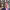 https://res.cloudinary.com/billionhands/image/upload/v1767072585/items/mgou0zglrh85y194auja.jpg-2cover