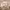 https://res.cloudinary.com/billionhands/image/upload/v1767073133/items/zsijmari1vjcvzrmauxy.webp-2cover