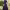 https://res.cloudinary.com/billionhands/image/upload/v1767073620/items/cpjbxuubp2cjgscpv1qe.jpg-3cover