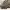 https://res.cloudinary.com/billionhands/image/upload/v1767073716/items/b84yvhsi4zm4vh1hxxdw.webp-3cover