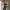 https://res.cloudinary.com/billionhands/image/upload/v1767074162/items/fofdbkwybgfcscvtxz1v.webp-3cover