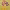 https://res.cloudinary.com/billionhands/image/upload/v1767074321/items/jz4gzqyqas67wnszy6f7.jpg-0cover