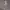https://res.cloudinary.com/billionhands/image/upload/v1767074326/items/h1jgt35l2lvbwn1fuqew.jpg-2cover
