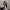 https://res.cloudinary.com/billionhands/image/upload/v1767076542/items/c03qoknvyi0cggajbfyp.webp-0cover