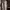 https://res.cloudinary.com/billionhands/image/upload/v1767076846/items/pt75hz1dvccgkc3idmjp.jpg-0cover