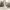 https://res.cloudinary.com/billionhands/image/upload/v1767076853/items/v71ahvdyliqldh1n3exk.jpg-2cover
