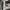 https://res.cloudinary.com/billionhands/image/upload/v1767076879/items/fjxxvzswxtxpequgll0o.jpg-0cover