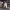 https://res.cloudinary.com/billionhands/image/upload/v1767079876/items/s9nw5d0uoioeepfk7fvg.jpg-3cover