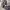 https://res.cloudinary.com/billionhands/image/upload/v1767080938/items/sdk0bd9ykeqizlqxyish.avif-2cover