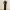 https://res.cloudinary.com/billionhands/image/upload/v1767080991/items/xympxlpjk9emj2yiiqxa.webp-3cover