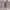 https://res.cloudinary.com/billionhands/image/upload/v1767083375/items/ccee3pyfqvmttfyvakga.webp-2cover
