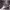 https://res.cloudinary.com/billionhands/image/upload/v1767083390/items/z5neh1yb6h2p6s6hjxcj.png-2cover
