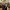 https://res.cloudinary.com/billionhands/image/upload/v1767083399/items/thyafm9cmn2idtgu3ke8.jpg-0cover