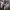 https://res.cloudinary.com/billionhands/image/upload/v1767083403/items/se6uzchulklad8xrytsj.jpg-2cover